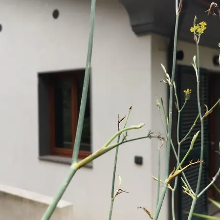 بيت للعطل Nepitella *